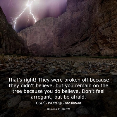 Picture 03 - Romans 11:20 GW - That’s right! They were broken off because they - Bible Verse Picture