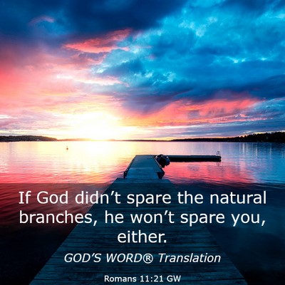 Picture 03 - Romans 11:21 GW - If God didn’t spare the natural branches, he - Bible Verse Picture
