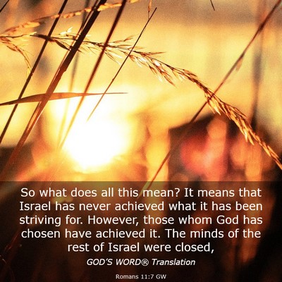 Picture 03 - Romans 11:7 GW - So what does all this mean? It means that Israel - Bible Verse Picture