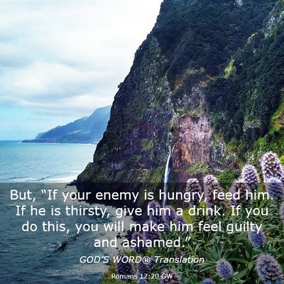 Picture 03 - Romans 12:20 GW - But, “If your enemy is hungry, feed him. If he - Bible Verse Picture