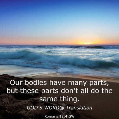 Picture 03 - Romans 12:4 GW - Our bodies have many parts, but these parts - Bible Verse Picture