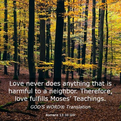 Picture 03 - Romans 13:10 GW - Love never does anything that is harmful to a - Bible Verse Picture