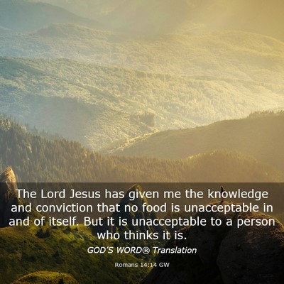 Picture 03 - Romans 14:14 GW - The Lord Jesus has given me the knowledge and - Bible Verse Picture
