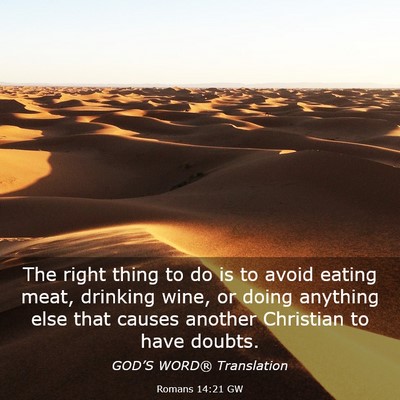 Picture 03 - Romans 14:21 GW - The right thing to do is to avoid eating meat, - Bible Verse Picture