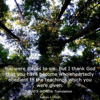 Picture 03 - Romans 6:17 GW - You were slaves to sin. But I thank God that you - Bible Verse Picture