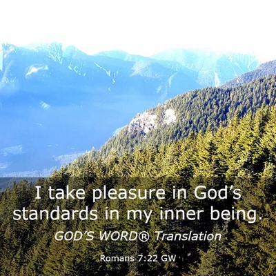 Picture 03 - Romans 7:22 GW - I take pleasure in God’s standards in my inner - Bible Verse Picture