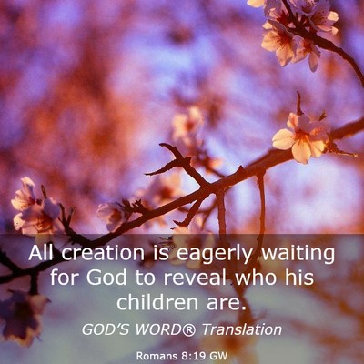 Picture 03 - Romans 8:19 GW - All creation is eagerly waiting for God to reveal - Bible Verse Picture