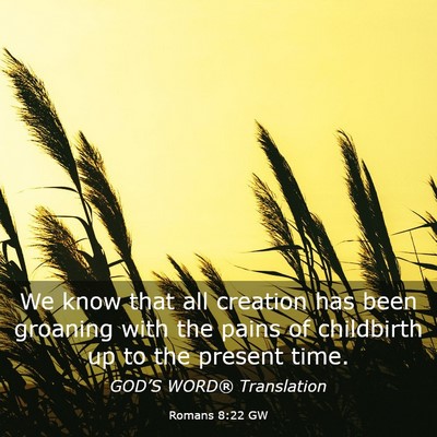 Picture 03 - Romans 8:22 GW - We know that all creation has been groaning with - Bible Verse Picture