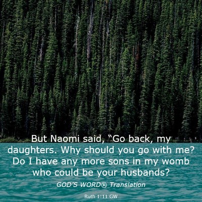 Picture 03 - Ruth 1:11 GW - But Naomi said, “Go back, my daughters. Why - Bible Verse Picture