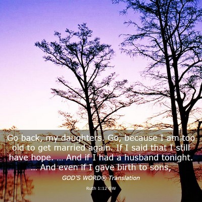 Picture 03 - Ruth 1:12 GW - Go back, my daughters. Go, because I am too old - Bible Verse Picture