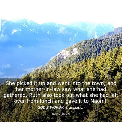 Picture 03 - Ruth 2:18 GW - She picked it up and went into the town, and her - Bible Verse Picture
