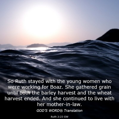 Picture 03 - Ruth 2:23 GW - So Ruth stayed with the young women who were - Bible Verse Picture