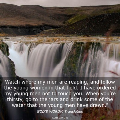 Picture 03 - Ruth 2:9 GW - Watch where my men are reaping, and follow the - Bible Verse Picture