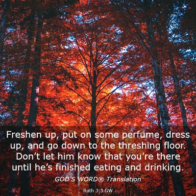 Picture 03 - Ruth 3:3 GW - Freshen up, put on some perfume, dress up, and go - Bible Verse Picture