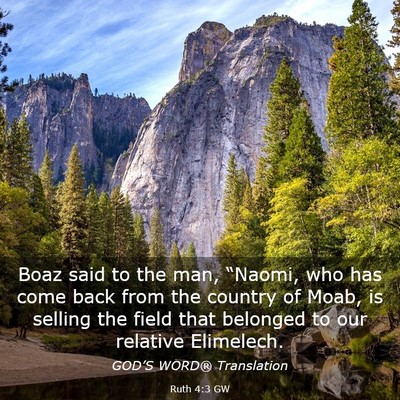 Picture 03 - Ruth 4:3 GW - Boaz said to the man, “Naomi, who has come back - Bible Verse Picture