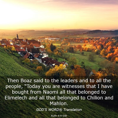 Picture 03 - Ruth 4:9 GW - Then Boaz said to the leaders and to all the - Bible Verse Picture