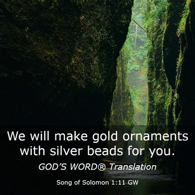 Picture 03 - Song of Solomon 1:11 GW - We will make gold ornaments with silver beads for - Bible Verse Picture