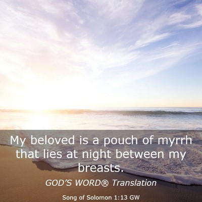 Picture 03 - Song of Solomon 1:13 GW - My beloved is a pouch of myrrh that lies at night - Bible Verse Picture