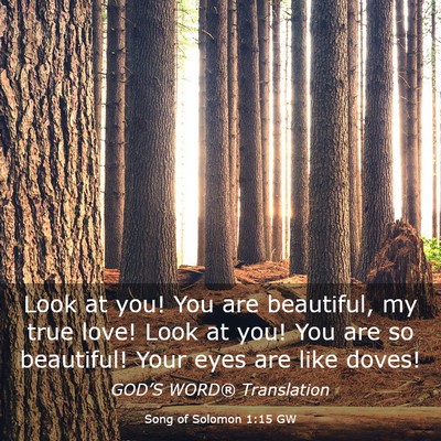 Picture 03 - Song of Solomon 1:15 GW - Look at you! You are beautiful, my true love! - Bible Verse Picture