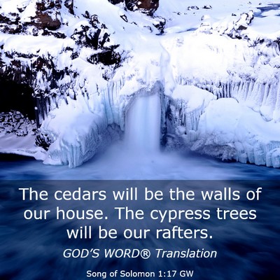 Picture 03 - Song of Solomon 1:17 GW - The cedars will be the walls of our house. The - Bible Verse Picture