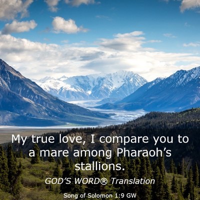 Picture 03 - Song of Solomon 1:9 GW - My true love, I compare you to a mare among - Bible Verse Picture