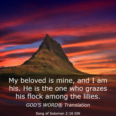 Picture 03 - Song of Solomon 2:16 GW - My beloved is mine, and I am his. He is the one - Bible Verse Picture