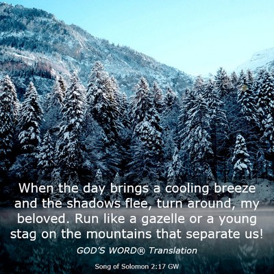 Picture 03 - Song of Solomon 2:17 GW - When the day brings a cooling breeze and the - Bible Verse Picture