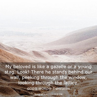 Picture 03 - Song of Solomon 2:9 GW - My beloved is like a gazelle or a young stag. - Bible Verse Picture