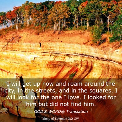 Picture 03 - Song of Solomon 3:2 GW - I will get up now and roam around the city, in - Bible Verse Picture