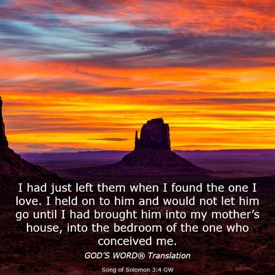 Picture 03 - Song of Solomon 3:4 GW - I had just left them when I found the one I love. - Bible Verse Picture