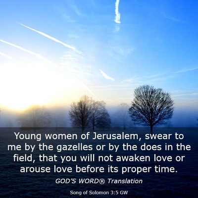 Picture 03 - Song of Solomon 3:5 GW - Young women of Jerusalem, swear to me by the - Bible Verse Picture
