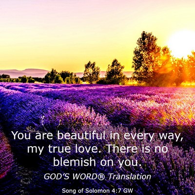 Picture 03 - Song of Solomon 4:7 GW - You are beautiful in every way, my true love. - Bible Verse Picture