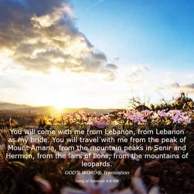 Picture 03 - Song of Solomon 4:8 GW - You will come with me from Lebanon, from Lebanon - Bible Verse Picture