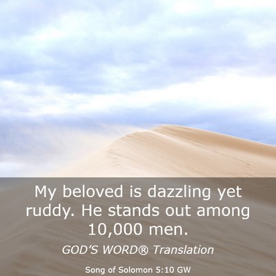 Picture 03 - Song of Solomon 5:10 GW - My beloved is dazzling yet ruddy. He stands out - Bible Verse Picture