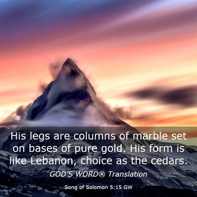 Picture 03 - Song of Solomon 5:15 GW - His legs are columns of marble set on bases of - Bible Verse Picture