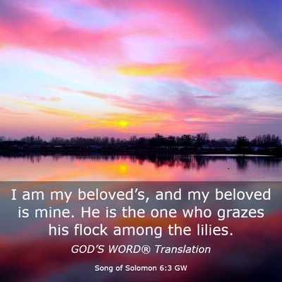 Picture 03 - Song of Solomon 6:3 GW - I am my beloved’s, and my beloved is mine. He - Bible Verse Picture