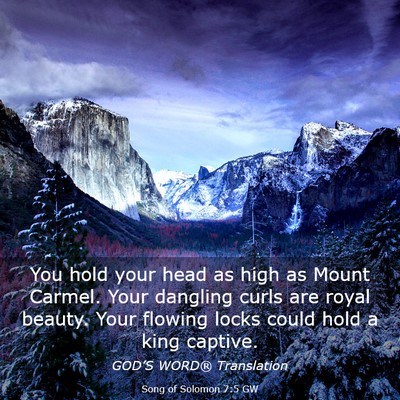 Picture 03 - Song of Solomon 7:5 GW - You hold your head as high as Mount Carmel. Your - Bible Verse Picture