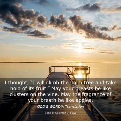 Picture 03 - Song of Solomon 7:8 GW - I thought, “I will climb the palm tree and take - Bible Verse Picture