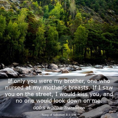 Picture 03 - Song of Solomon 8:1 GW - If only you were my brother, one who nursed at my - Bible Verse Picture