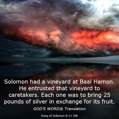 Picture 03 - Song of Solomon 8:11 GW - Solomon had a vineyard at Baal Hamon. He - Bible Verse Picture
