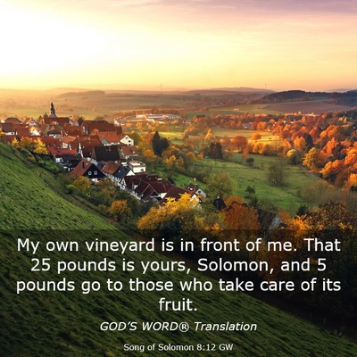 Picture 03 - Song of Solomon 8:12 GW - My own vineyard is in front of me. That 25 pounds - Bible Verse Picture