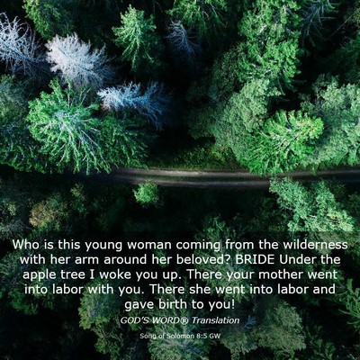 Picture 03 - Song of Solomon 8:5 GW - Who is this young woman coming from the - Bible Verse Picture