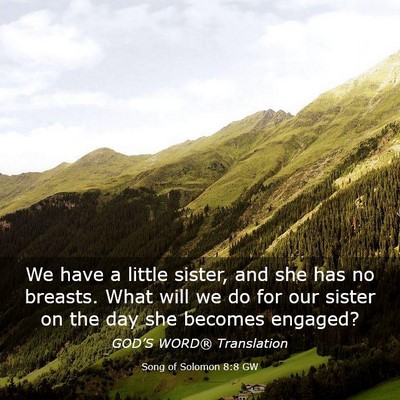 Picture 03 - Song of Solomon 8:8 GW - We have a little sister, and she has no breasts. - Bible Verse Picture