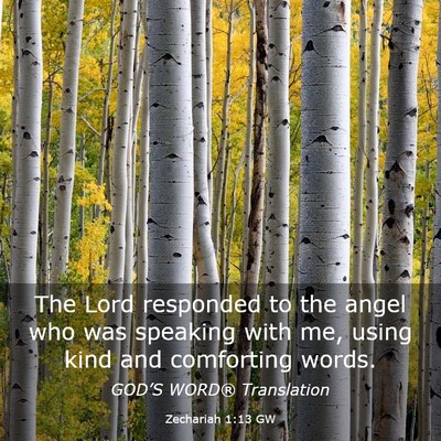 Picture 03 - Zechariah 1:13 GW - The Lord responded to the angel who was speaking - Bible Verse Picture