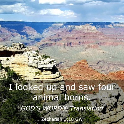 Picture 03 - Zechariah 1:18 GW - I looked up and saw four animal - Bible Verse Picture