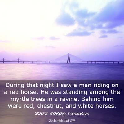 Picture 03 - Zechariah 1:8 GW - During that night I saw a man riding on a red - Bible Verse Picture