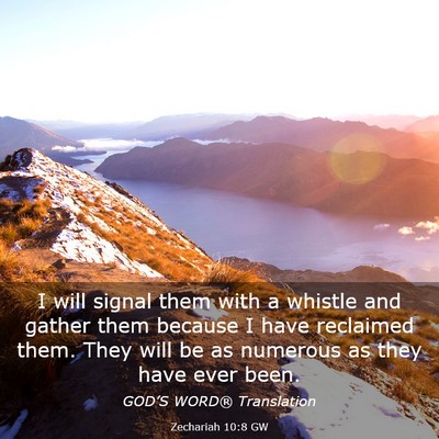 Picture 03 - Zechariah 10:8 GW - I will signal them with a whistle and gather them - Bible Verse Picture