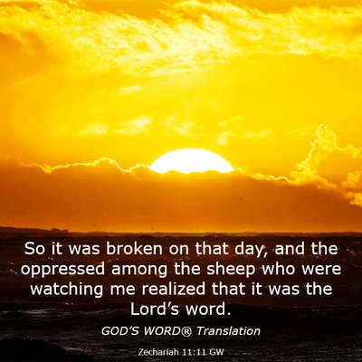 Picture 03 - Zechariah 11:11 GW - So it was broken on that day, and the oppressed - Bible Verse Picture