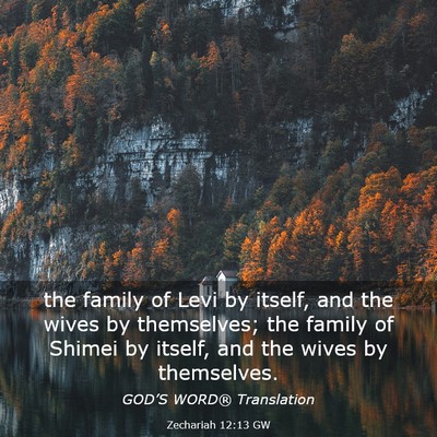 Picture 03 - Zechariah 12:13 GW - the family of Levi by itself, and the wives by - Bible Verse Picture