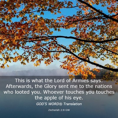 Picture 03 - Zechariah 2:8 GW - This is what the Lord of Armies says: Afterwards, - Bible Verse Picture